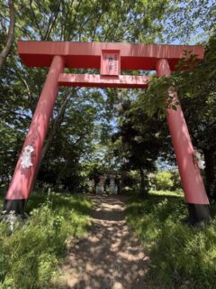 あらためて参拝へ